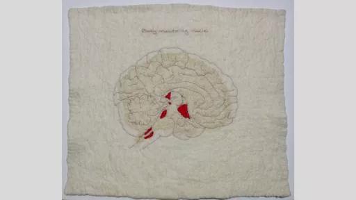 Finely stitched image of a brain sewn in red thread on off-white woollen felt. Parts of the brain towards the centre and lower half are filled in with stitched red thread, indicating the part of the brain that is activated by certain emotions. Above the brain the words ‘body monitoring nuclei’ are finely stitched.