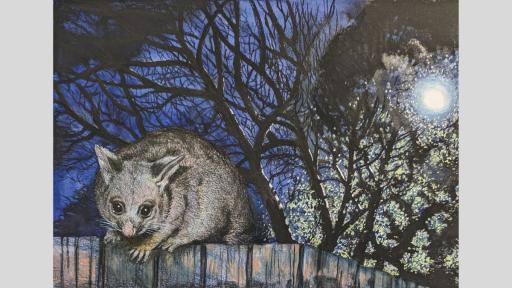 Watercolour, acrylic, and coloured pencil piece of a possum on a wooden fence at night. Behind the possum are trees in the darkness, with some branches illuminated by the moon pictured in the top right-hand corner.