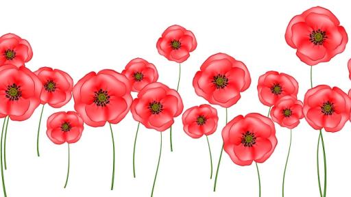 graphic of lots of poppy flowers