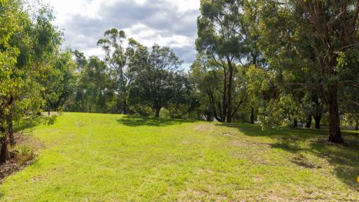 Small slightly sloped grass area with large trees to the near right and left, and in the distance.