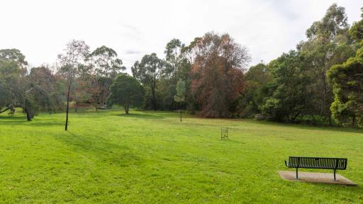 Large grass area with a slight left-to-right slope, surrounded by think layer of tall trees. There is a park bench to the near bottom right.