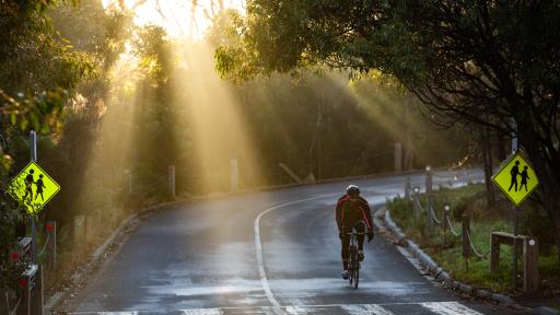 a person on a bike rides up a paved hill with sun streaming down