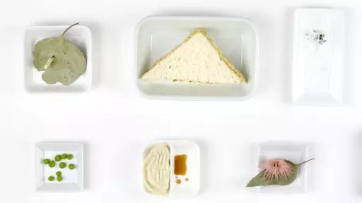 Image of 6 white ceramic platters containing various objects arranged in a rectangular formation on a white background. The top left plate contains a real leaf with a moth. The other platters have plastic sculptures on them, including peas, half a sandwich, a bird poop splatter, a dumpling with soy sauce and a pink flower.