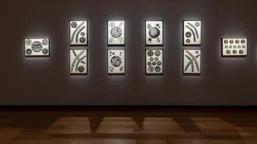 A gallery wall with 11 black and white prints of various sizes and a light wood floor.