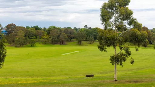A green sports field with a single bench and a tall eucalyptus tree in the foreground. The sky is cloudy. A cricket pitch is in the middle of the field. 