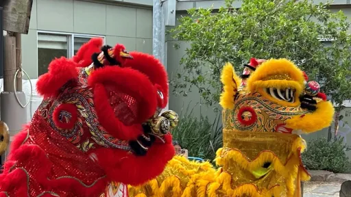 2 colourful chinese dragons