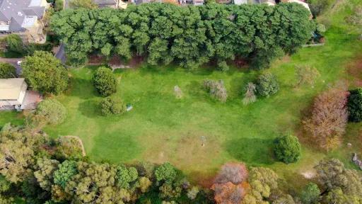 Birds eye view of a green parkland area. Trees line the top and bottom border