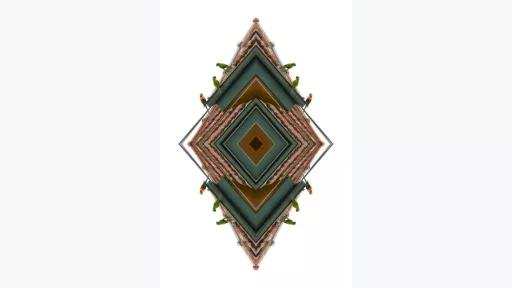 Diamond shape made from a digitally edited image of a green and brown rooftop. The Layering of the image produces a kaleidoscope affect. On top of the rooftop are three rainbow lorikeets, the digital repetition in the image causes the same three lorikeets to appear four times, on each side of the diamond.