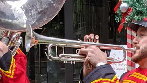 Festive horns