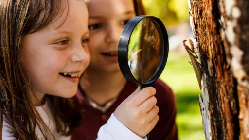 Two kids looking at tree bark through a magnifying glass in a garden