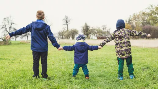 3 children holding hands outside. They are looking away from the camera. 