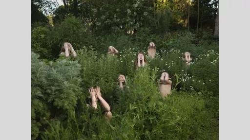 This image depicts a group of figures positioned within a dense, green outdoor setting. The figures are partially obscured by tall plants and wildflowers. Each figure has their hands raised, covering their face. The vegetation includes a variety of green foliage and white flowers, filling most of the foreground. In the background, there are trees and additional greenery, with sunlight visible through the foliage. The figures are evenly distributed across the scene, emerging at different heights.