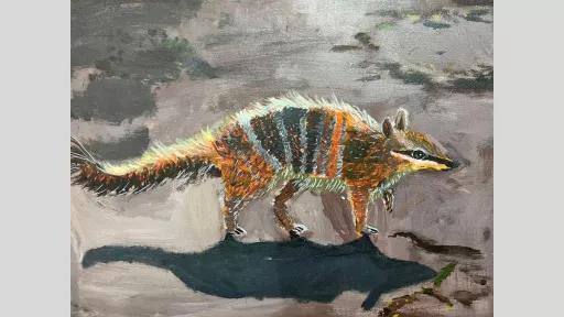 A realistic acrylic painting of a numbat in earthy brown, orange, and white tones. The small marsupial is depicted walking on a textured surface, its striped fur and shadow giving depth to the composition.