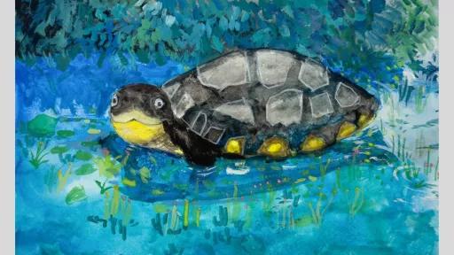 A watercolour painting of an Australian freshwater turtle swimming in a blue pond. The turtle’s shell and face are realistically rendered, while the background has lush green foliage and reflections in the water.