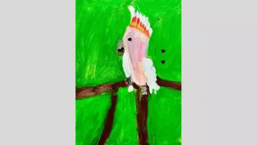 A vibrant acrylic painting of a cockatoo with a bright pink crest, perched on a brown tree branch against a bold green background. Two small red heart shapes float nearby.