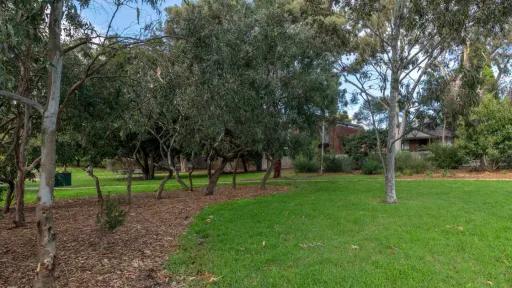 A grass clearing surrounded by mulch and trees