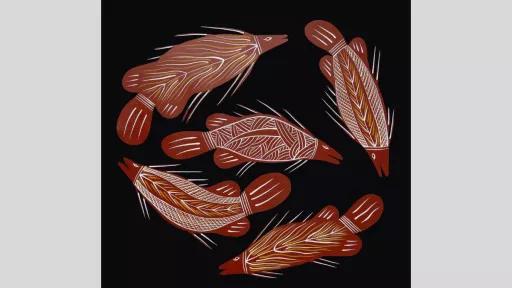 A painting of five barramundi in red tones, arranged in a loose circle on a black background. Each fish is decorated with different linear and cross-hatch patterns in white and yellow.