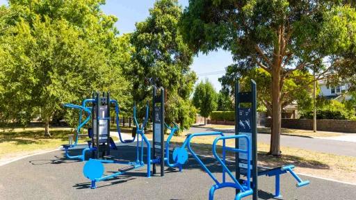 Outdoor exercise equipment surrounded by trees