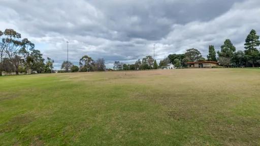 A grass field. A building and sportsground lighting are in the background