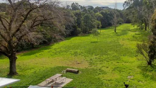 Aerial view of a large grassy field in a park surrounded by trees. Picnic tables, a log seat and an uncover area is visible.