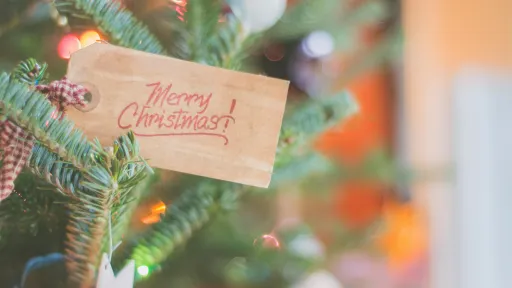 Christmas greeting card tied around the branch of a tree