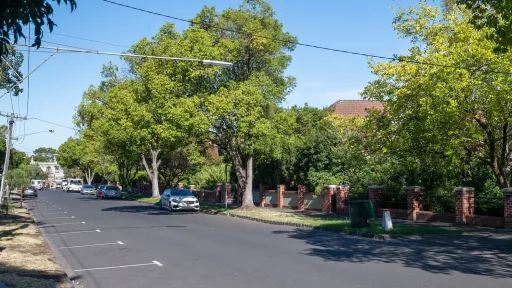 A tree lined local street with parks marked on the road surface.