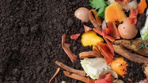 Fruit and vegetable scraps and eggshells sit next to crumbly dark brown compost