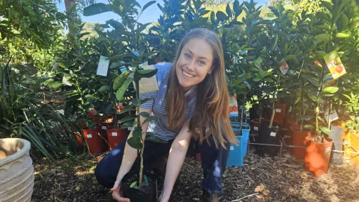 Young woman in plant nursery holding small tree in pot