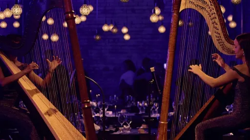 Two harp players sitting opposite each other on a well-lit stage