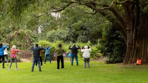 A group of people in a botanic garden practicing Tai Chi under a large tree