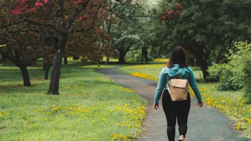 A person is walking on a path through a parkland with grass and trees.  