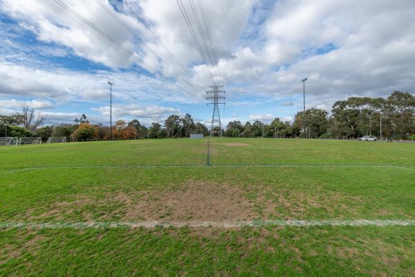 Side view of soccer pitch with white boundary line visible at the bottom. There are tall trees and an electricity tower in the distance.