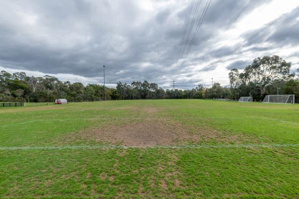 Side view of soccer pitch with white boundary line visible at the bottom. There are trees in the distance and soccer goals to the right.