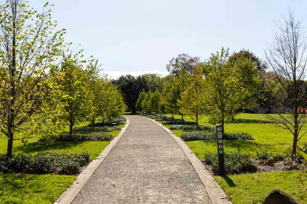 Dirt path with grass and a line of small trees on either side. The path has concrete gutters and a slight left curve at its far end.