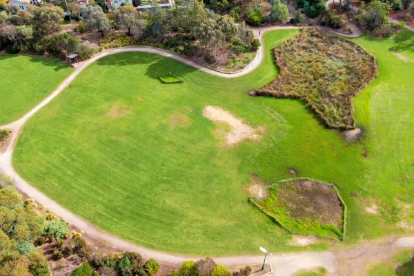 Aerial view of grass space surrounded by dirt track, with bare patches in the middle and to the right. There are patches of shurb and dirt to the right, with trees at the top and bottom.