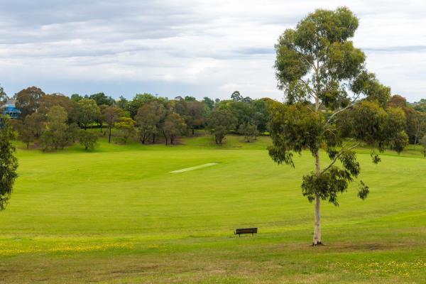 A green sports field with a single bench and a tall eucalyptus tree in the foreground. The sky is cloudy. A cricket pitch is in the middle of the field. 