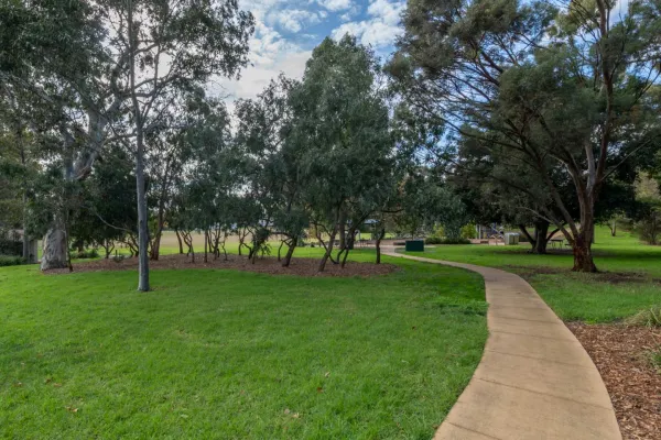 A foothpath through a green open space. Trees are in the background