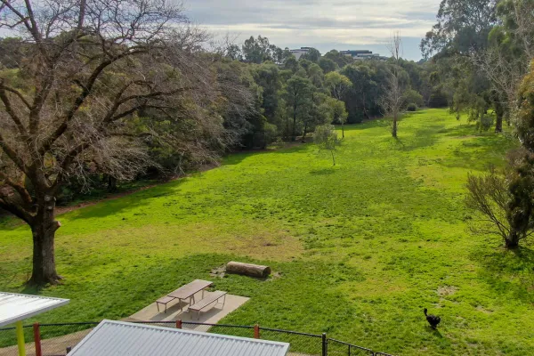 Aerial view of a large grassy field in a park surrounded by trees. Picnic tables, a log seat and an uncover area is visible. 