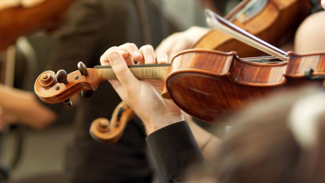 Close up on a persons hands as they are playing a violin, with other people playing violins in the background