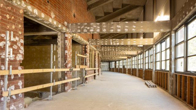 Michael Tuck Stand project