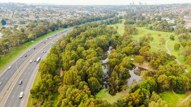 Bird’s-eye view of Koonung Reserve, with dense green tree canopy on one side and a road on the opposite side.