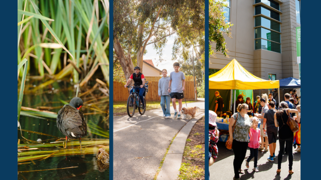 3 panels, a waterbird on a log, a family walking and riding along a path and people outside at a market.