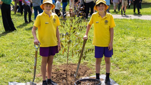Two schoolboys holding shovels stand smiling next to newly planted tree 