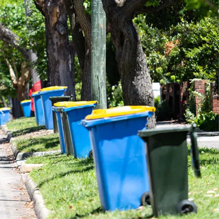 Bins lined up along a street in Boroondara